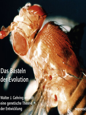 cover image of Das Basteln der Evolution